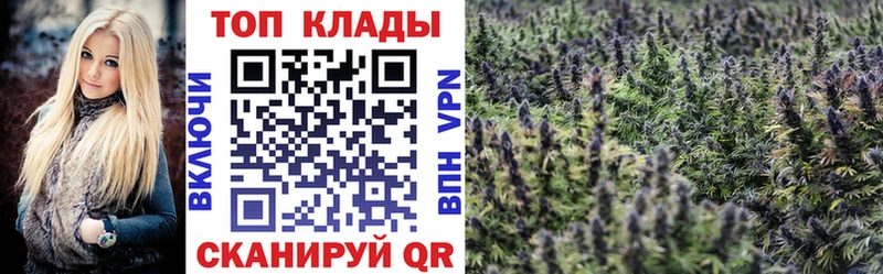 Где найти наркотики Рязань Гашиш  Меф 