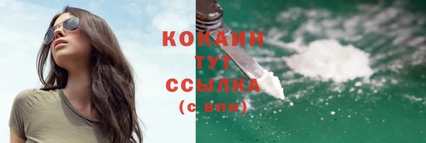 прущий лед Абаза