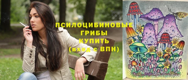 прущий лед Абаза