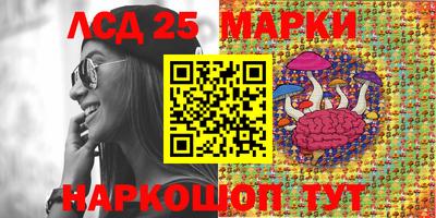 a pvp Сланцы