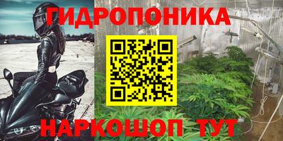 a pvp Сланцы
