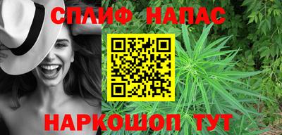 a pvp Сланцы