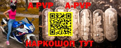 a pvp Сланцы