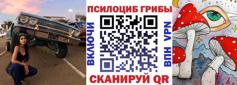 Галлюциногенные грибы MAGIC MUSHROOMS  продажа наркотиков  ссылка на мегу ТОР  Рязань 
