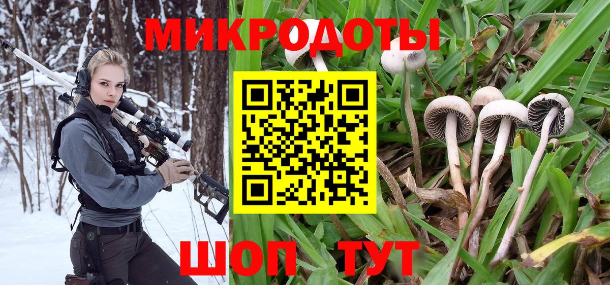 Галлюциногенные грибы Psilocybine cubensis Рязань