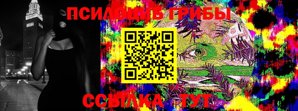 Рязань  Псилоцибиновые грибы мицелий  Вход с VPN 